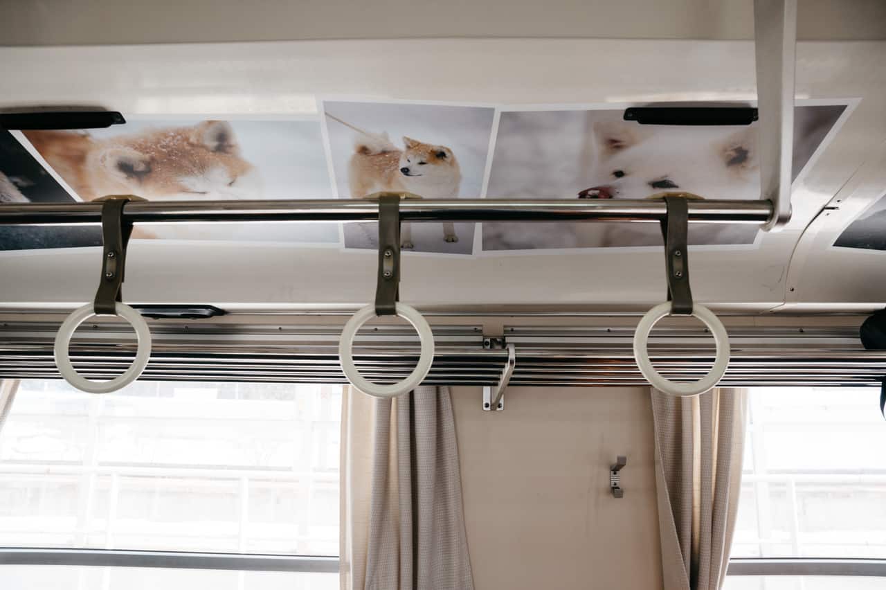 Trenes japoneses con decoración perruna