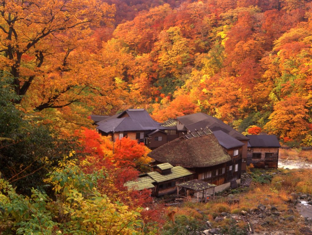 Los colores del otoño en Akita