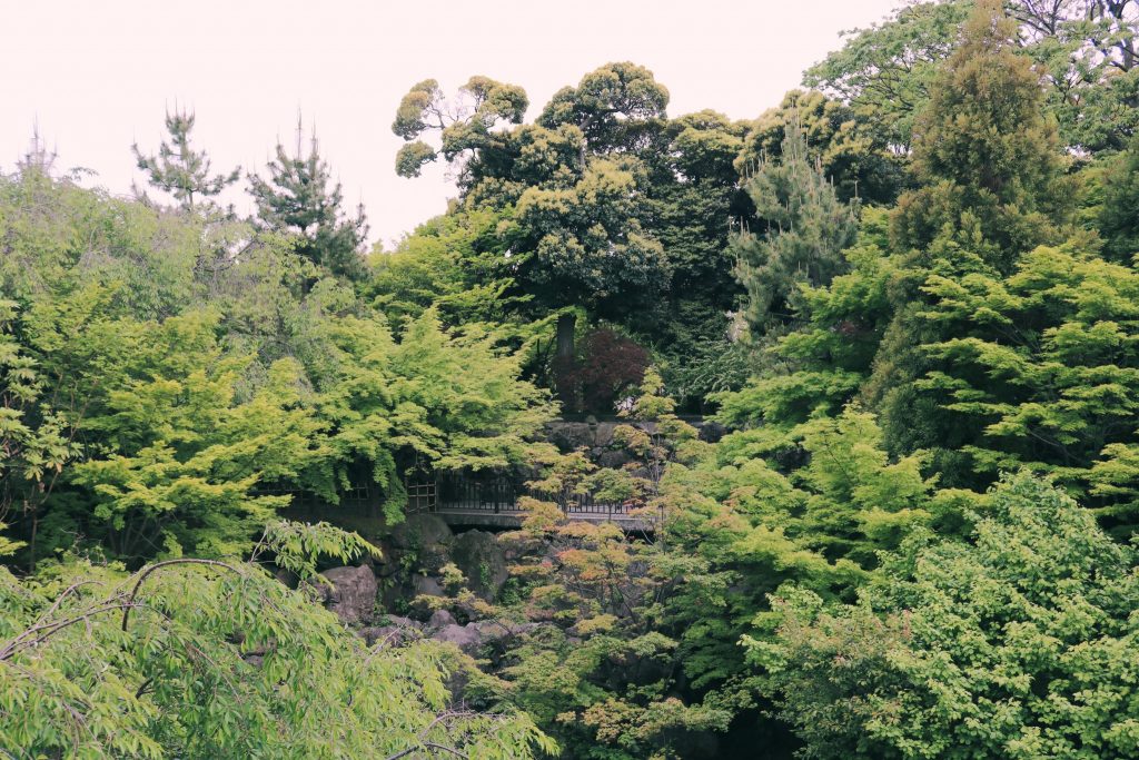 En Momijiyama hay muchos árboles