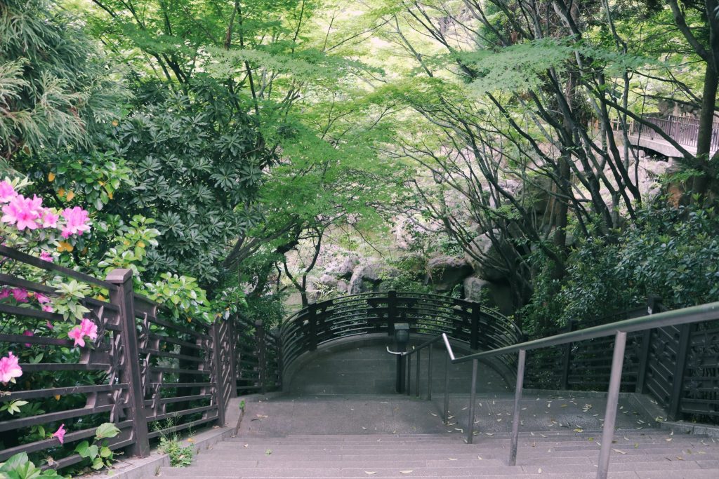 El parque Momijiyama en Nakano