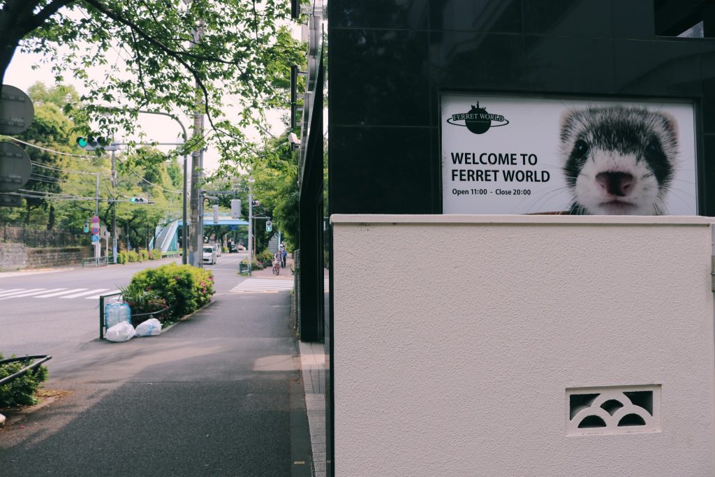 Tienda de hurones en nakano