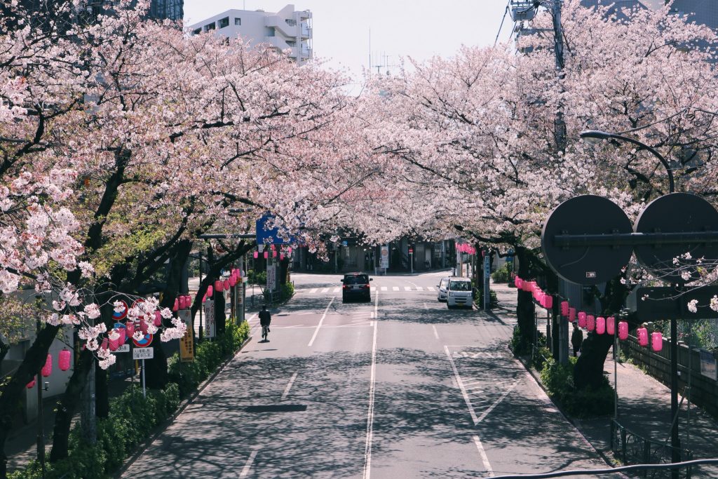 Nakano dori en primavera