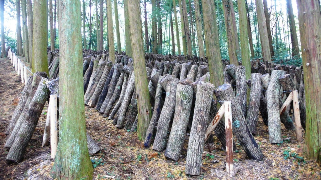 Alójate en un noka-minshuku cerca de Kitsuki