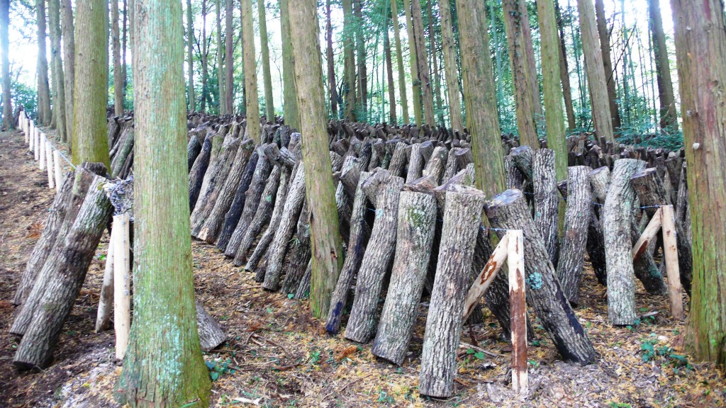 Alójate en un noka-minshuku cerca de Kitsuki