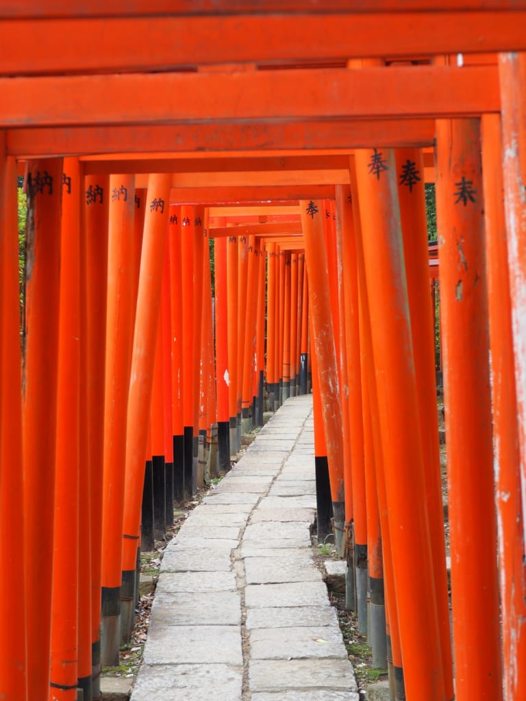 La famosa línea de torii en el santuario Nezu