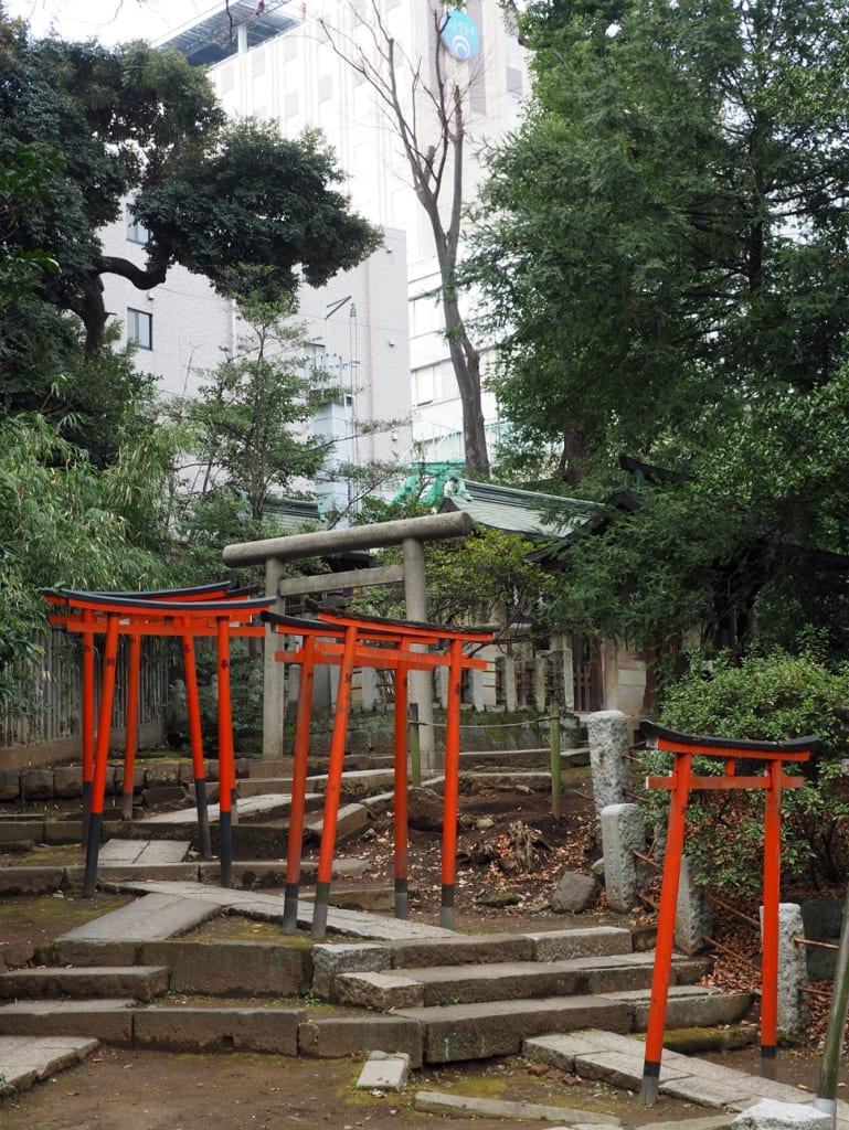 Los torii en el santuario de Nezu en Yanesen