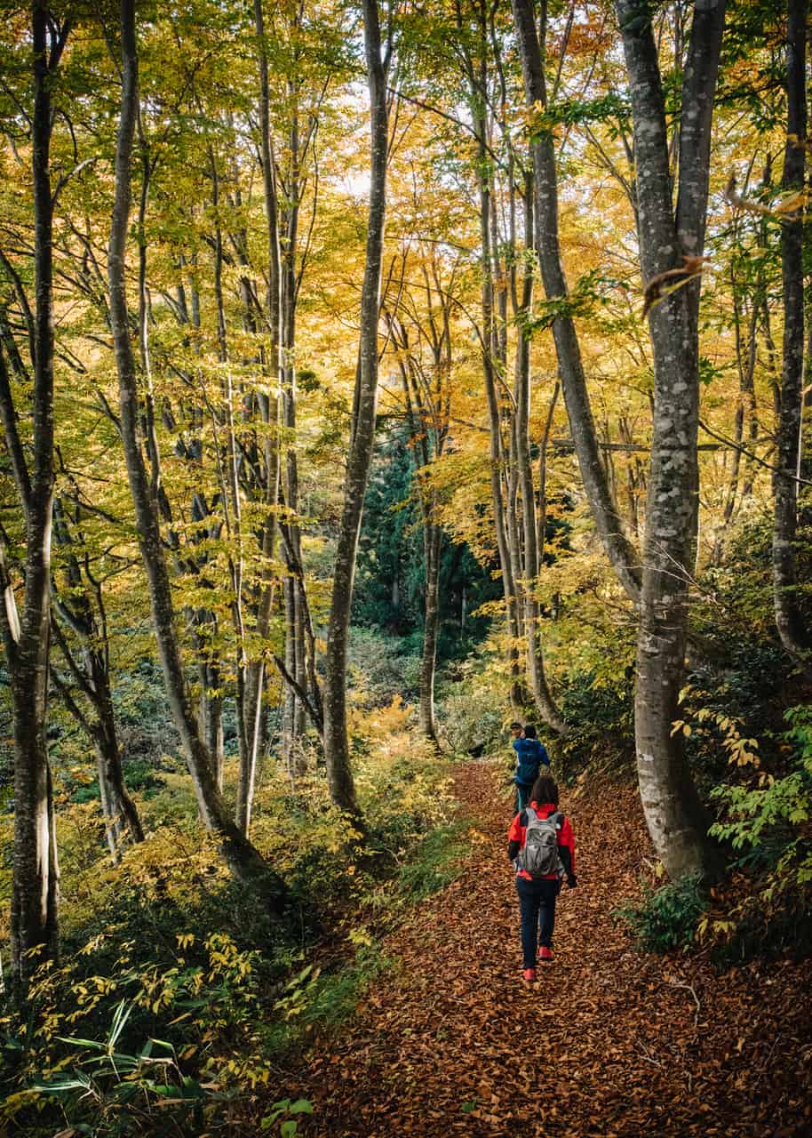 Andar por el Sendero de Shin-etsu es una experiencia única, en Iiyama, Nagano