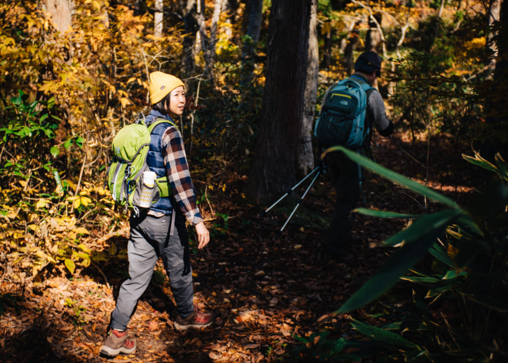 Detalles otoñales en el sendero shin-etsu