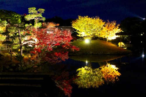 Iluminación nocturna del follaje otoñal en Korakuen, Okayama, Isla de Honshu, Japón