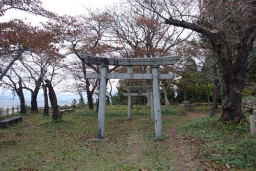 Murakami: Perfecto para disfrutar los colores otoñales