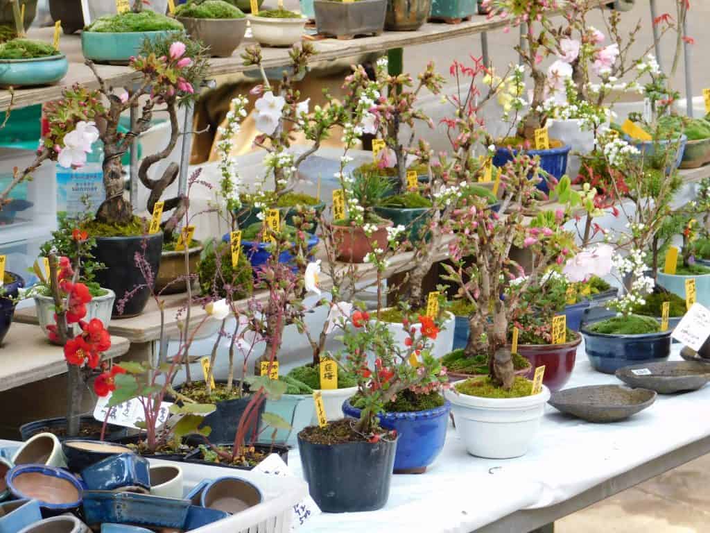 Parque de Ueno, Tokio, Japón