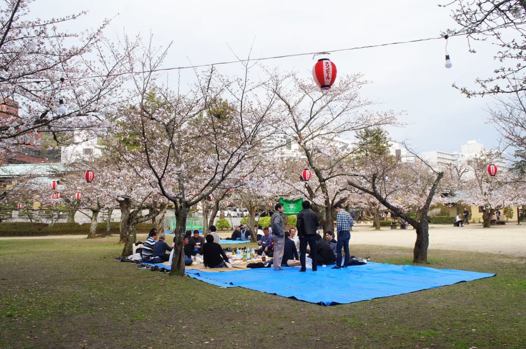 Un grupo de personas haciendo un pic-nic bajo los árboles del cerezo