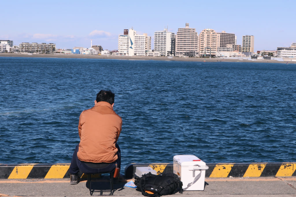 Vista del puerto de Enoshima, Fujisawa, Kanagawa, Japón