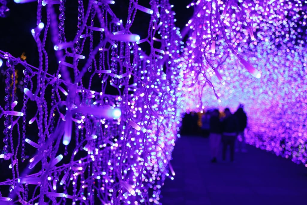 The Jewel of Shonan, Samuel Cocking Garden, Enoshima, Kanagawa, Japón