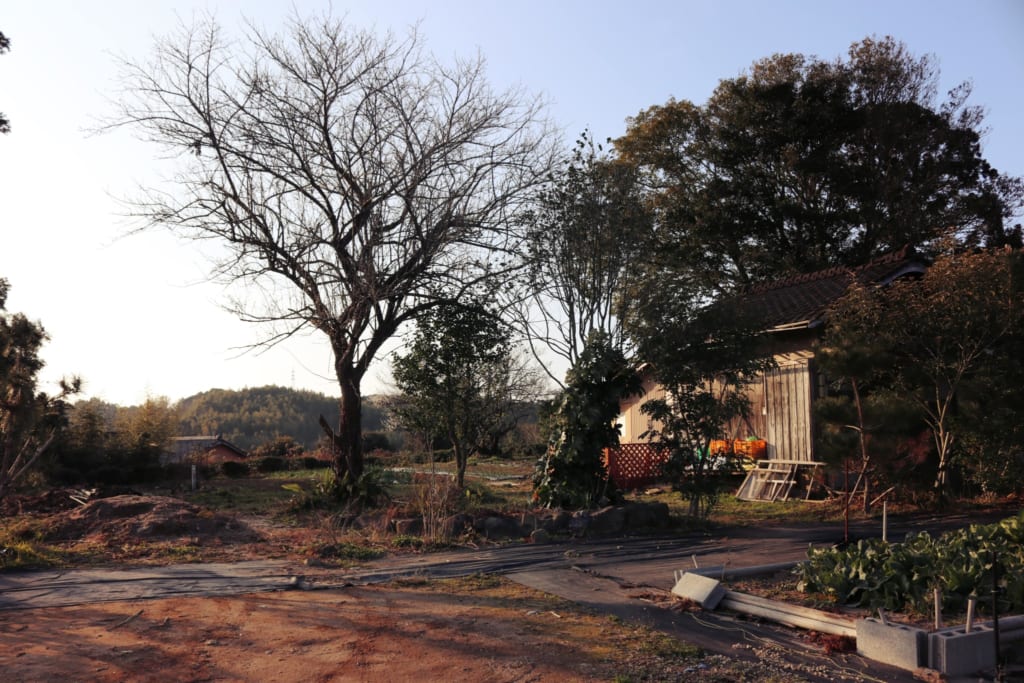 El huerto en Izumi, Kagoshima, Japón