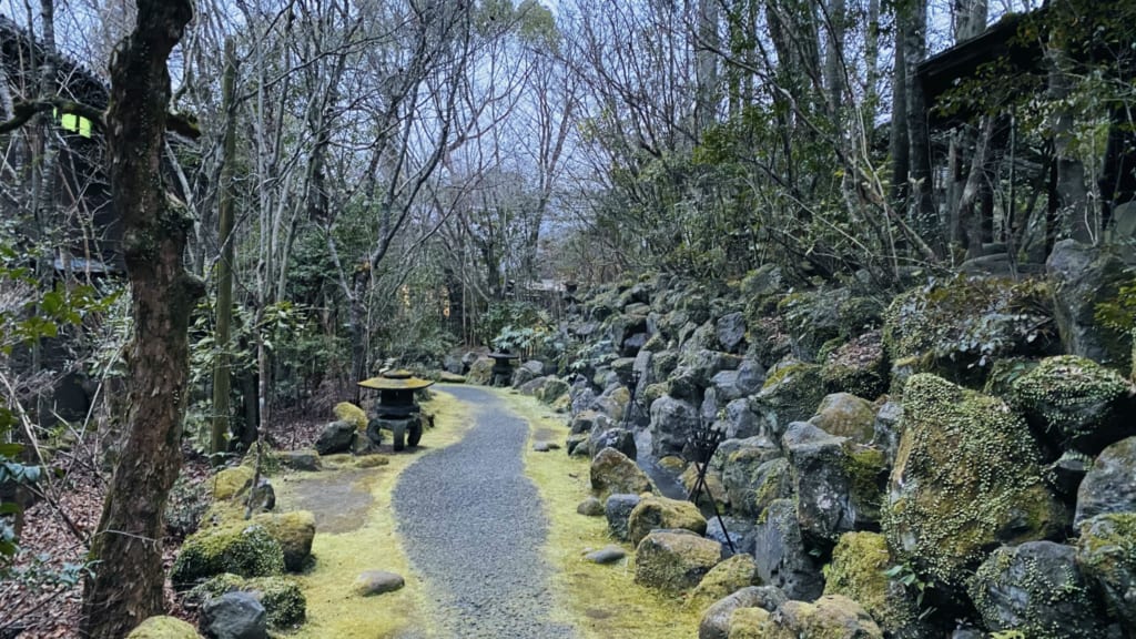 bosques que rodean el hotel Tensui