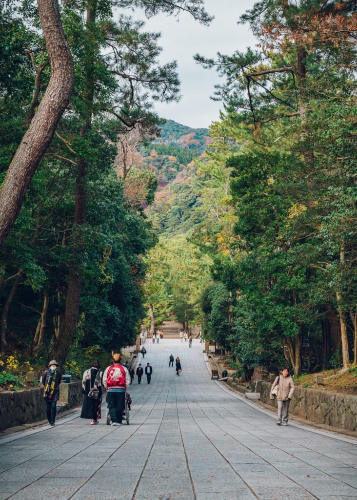 Camino para llegar al santuario Izumo Taisha