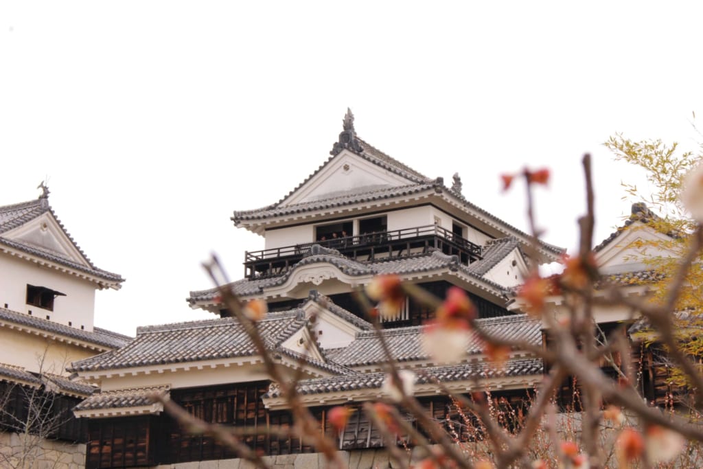 El castillo de Matsuyama en Ehime, Shikoku, Japón.