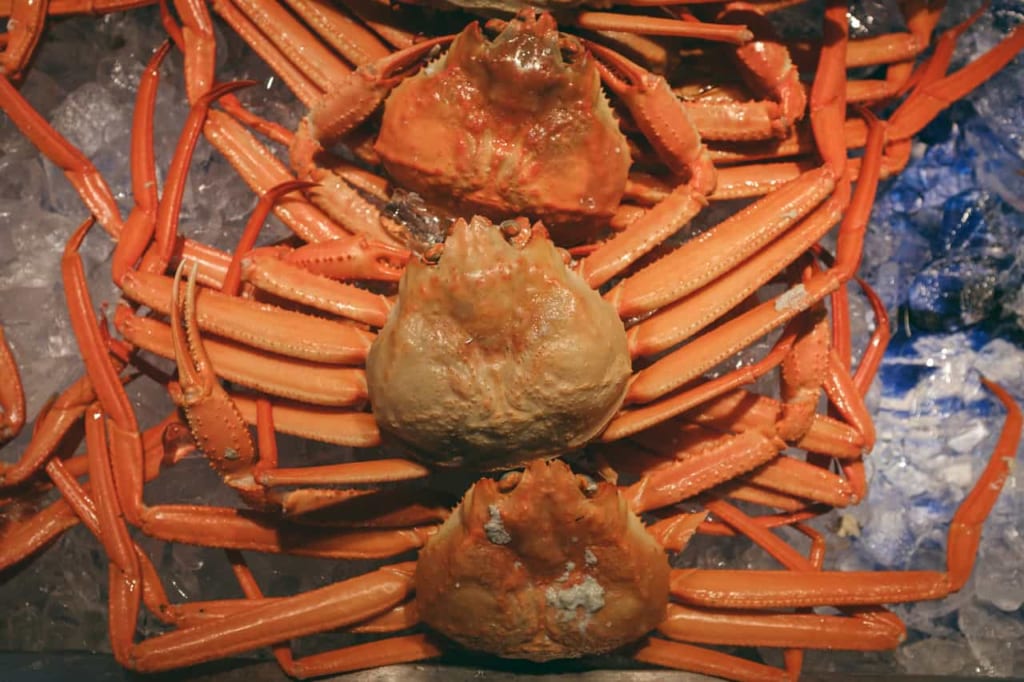 El cangrejo rojo de Toyama.