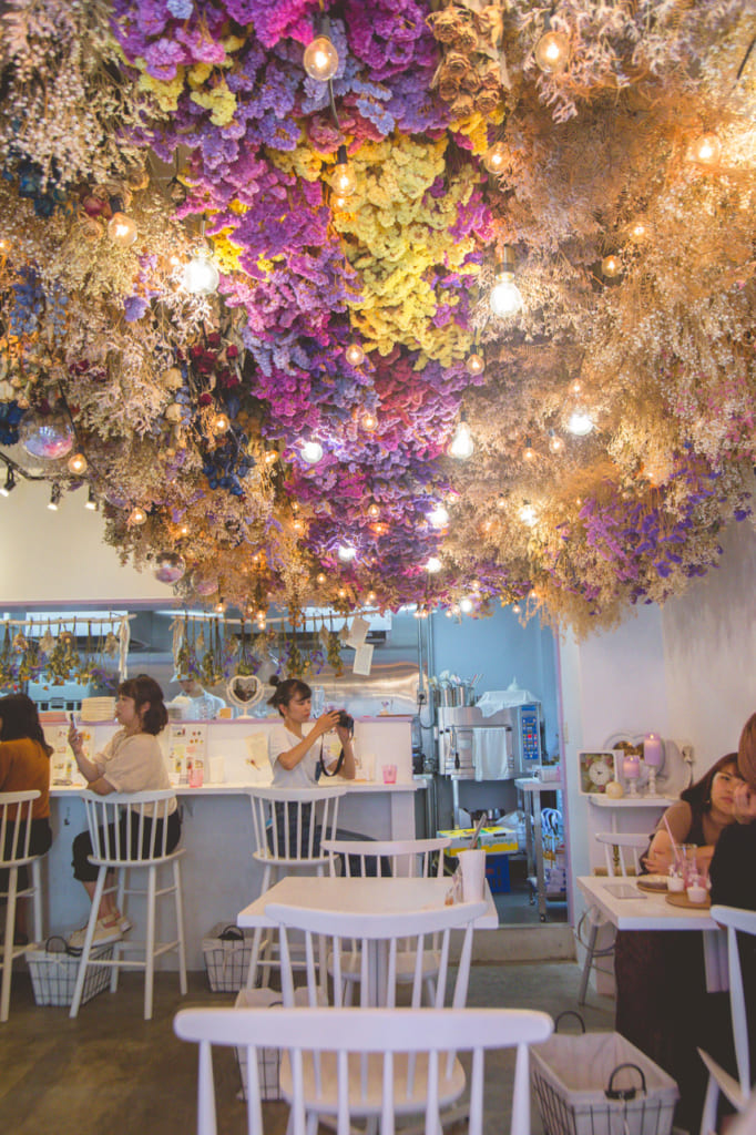 Plano general de cafeteria Pico Latte