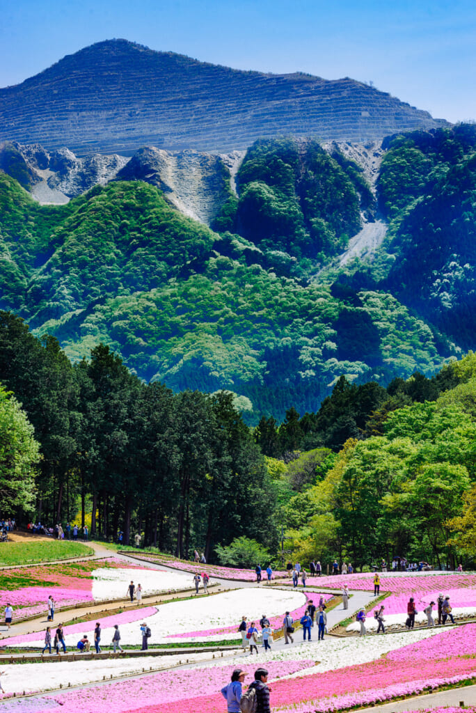 Vistas espectaculares del monte Buko y las flores del festival