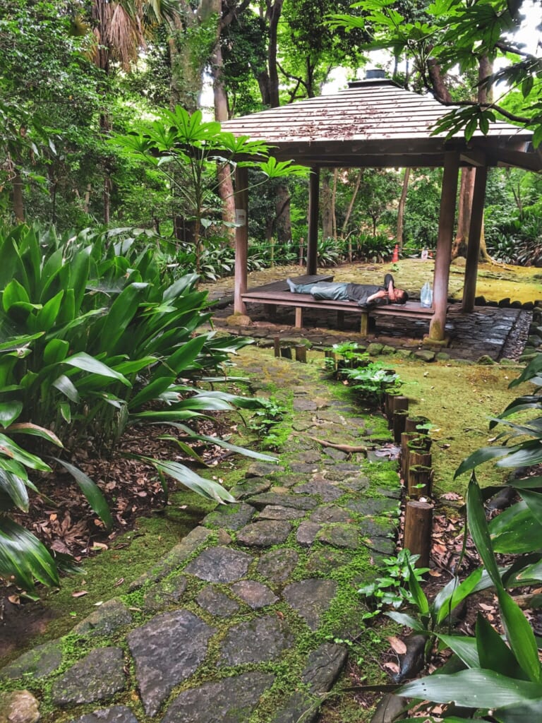 El exhuberante Parque Nanushinotaki 