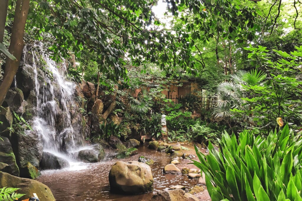 El exhuberante Parque Nanushinotaki 