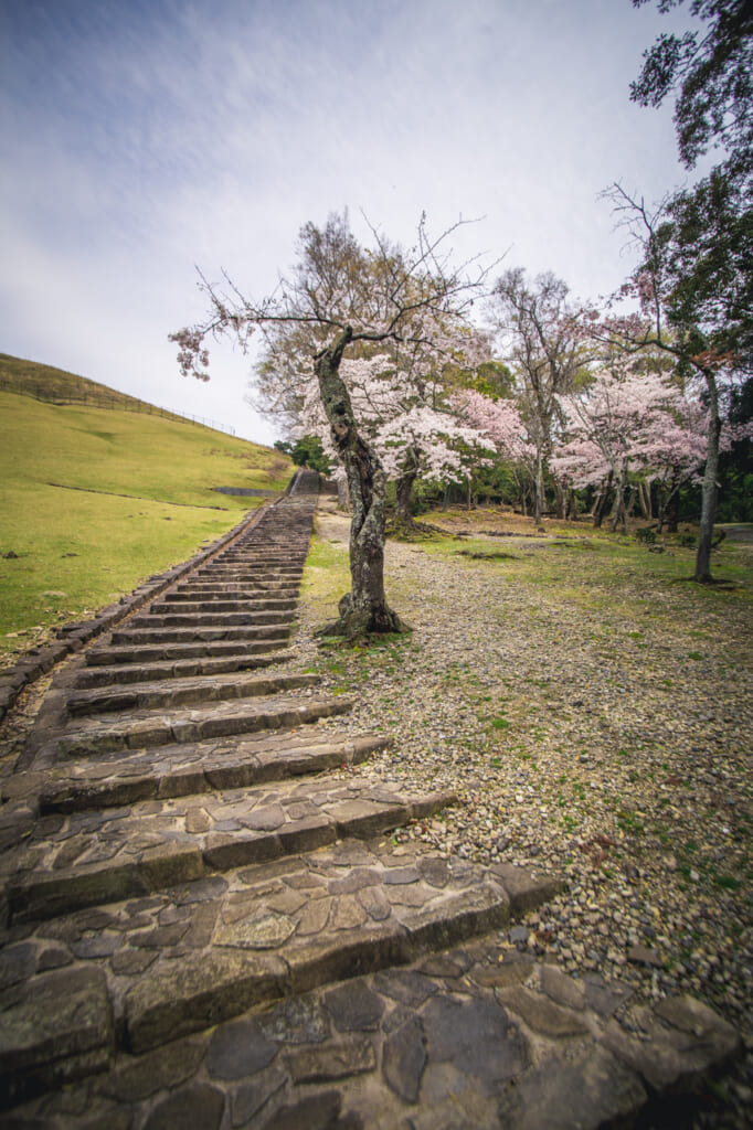 camino de subida a la cumbre del monte wakakusa