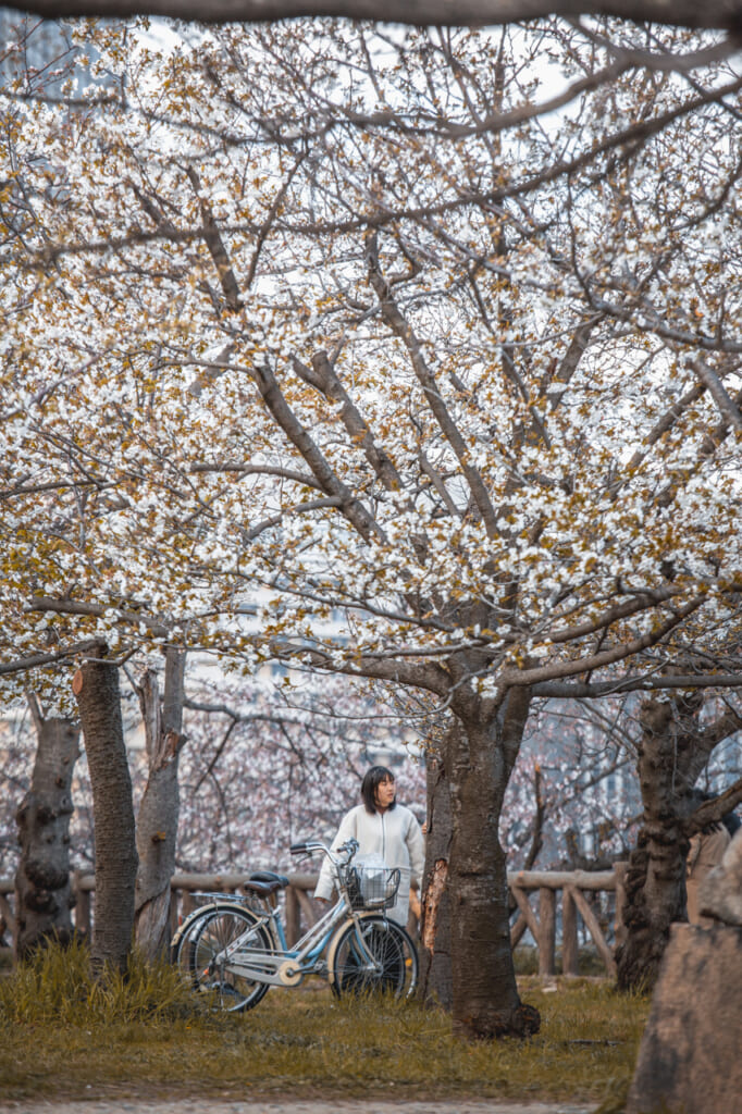 chica con una bici bajo cerezo en flor