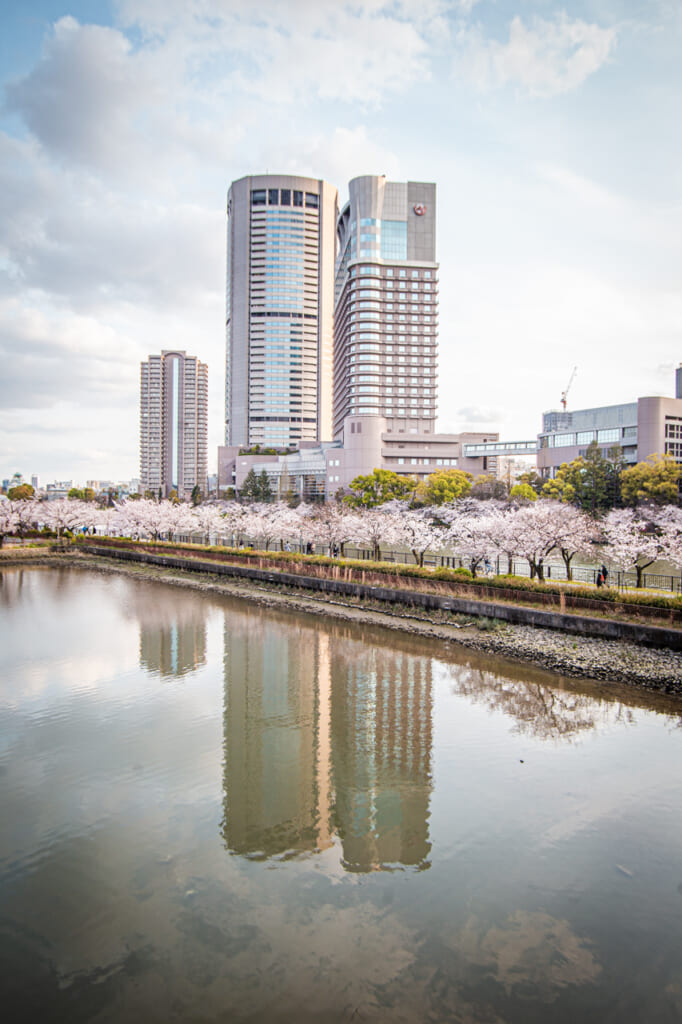 edificios y cerezos en flor reflejados en el agua en el rio okawa de Osaka