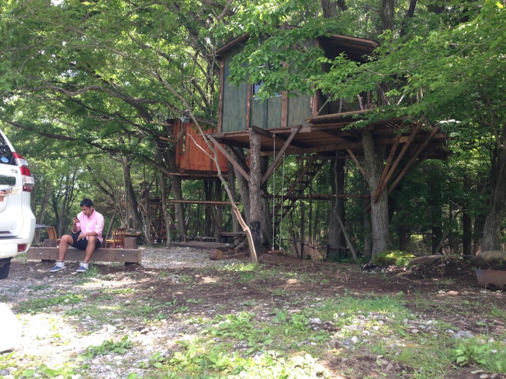 Acampar en los árboles