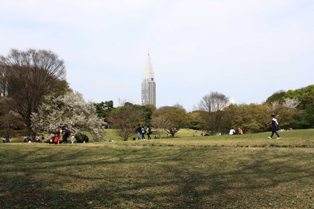 El jardín japonés en Tokio de Yoyogi Koen con la antena de Docomo de Shinjuku detrás