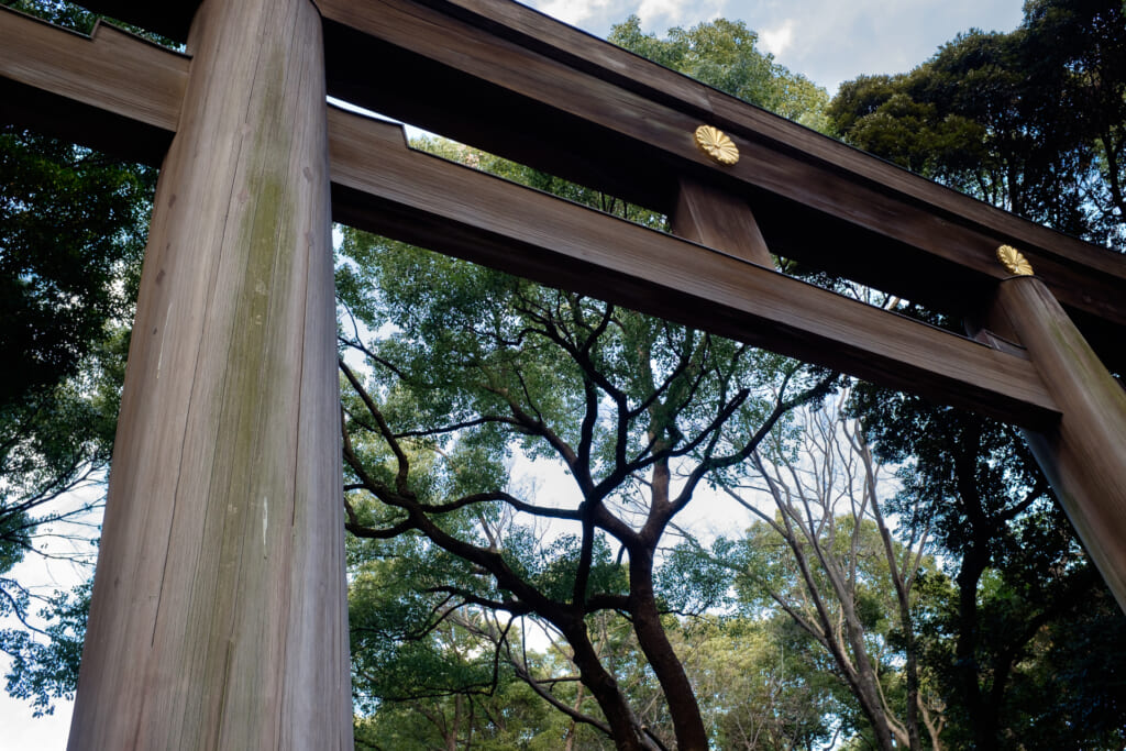 Uno de los gran toriis de madera en el Meiji-jingu