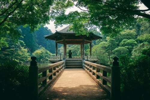 Jardines japoneses en Tokio: nuestro top 8 para visitar durante tu viaje