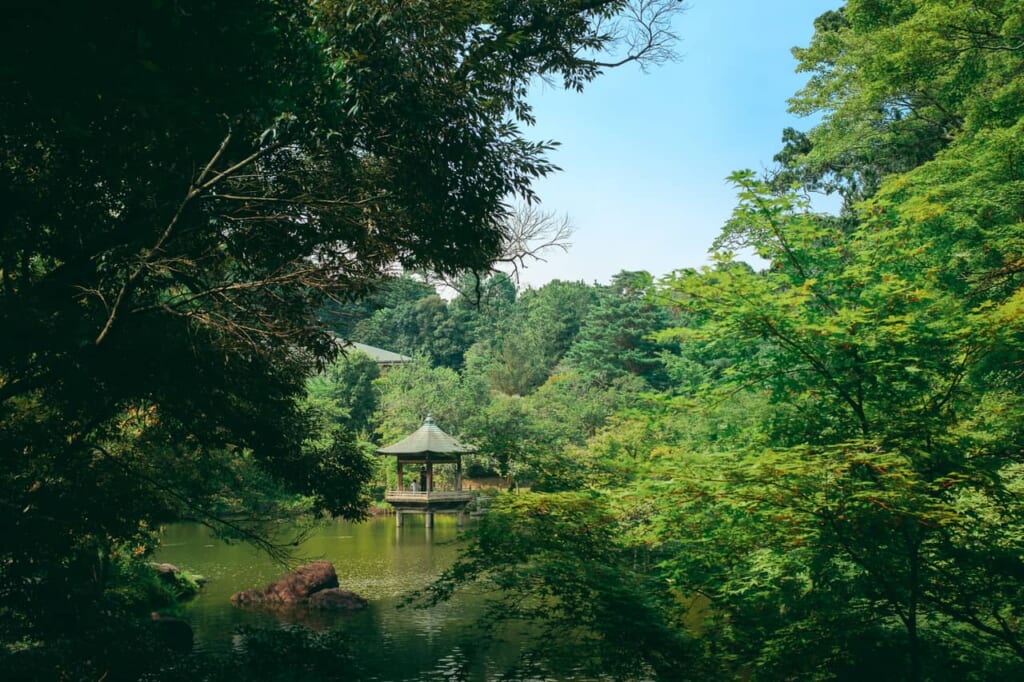 Una glorieta de estilo japonesa rodeada de naturaleza