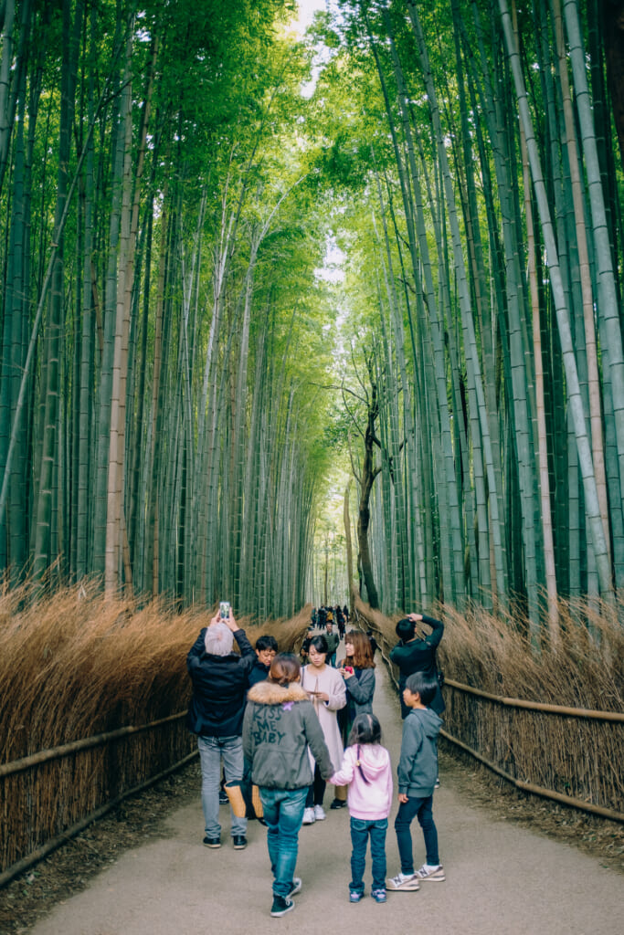 Turistas en el bosque de bambú de Arashiyama