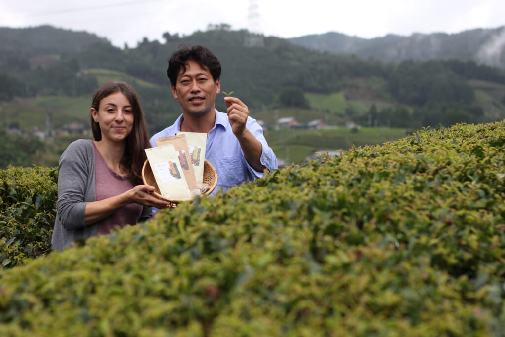 Productores de té japonés
