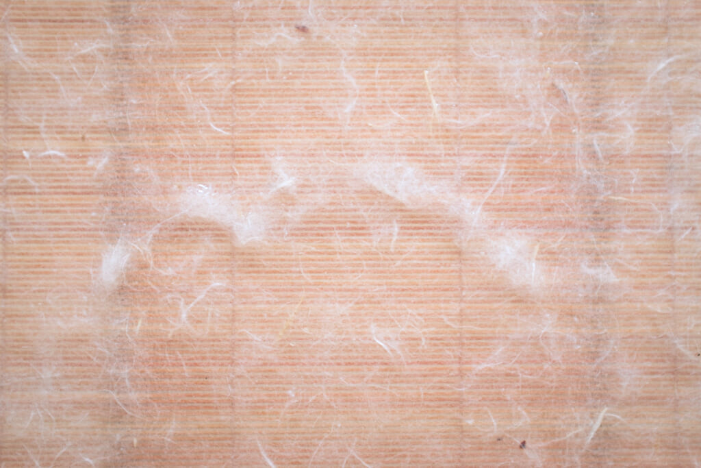 materiales para fabricar washi, papel japonés