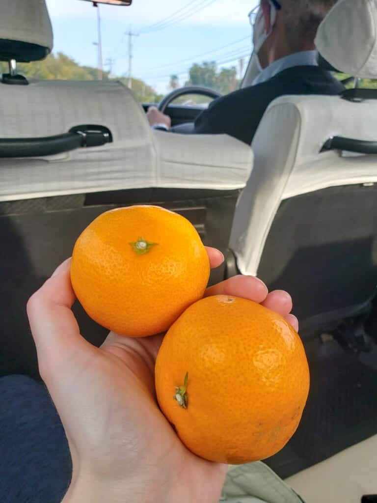 Las mandarinas que me regalaron