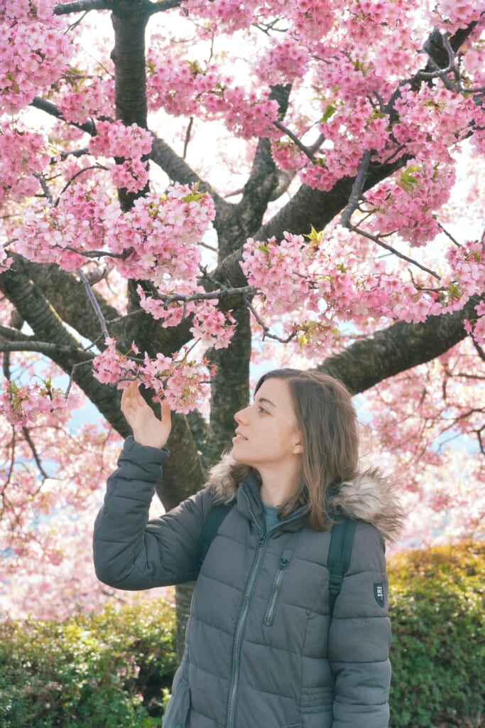 Maria observando una flor del cerezo en el Festival de los Cerezos en Flor de Matsuda