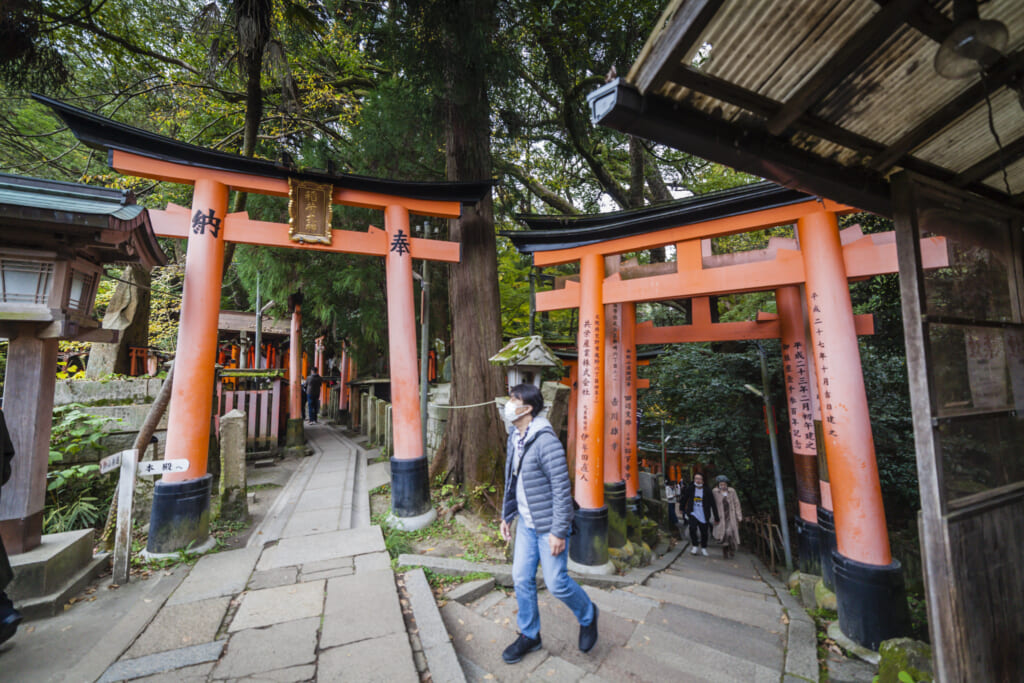 dos caminos en fushimi inari