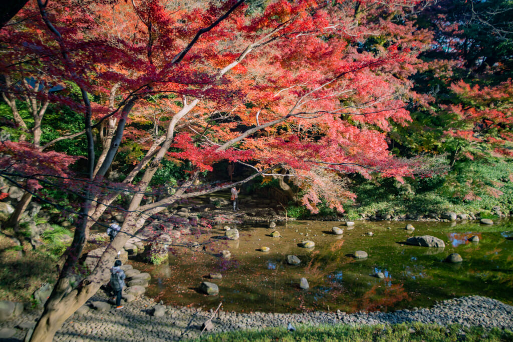 Parque Koishikawa Korakuen, parte del Hokuriku Arch Pass