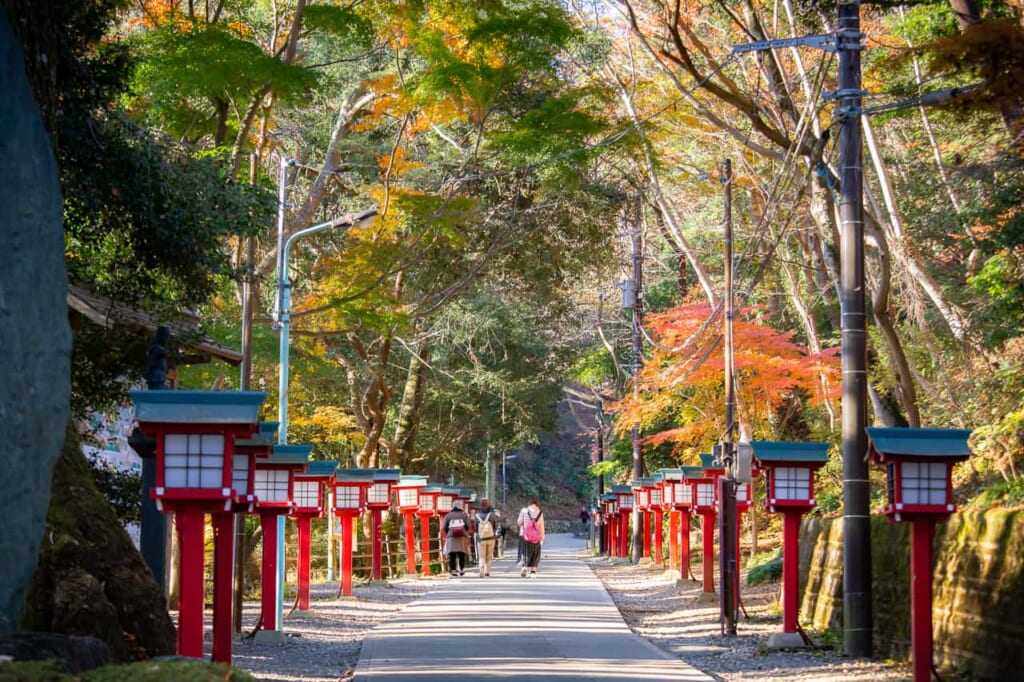 Subiendo el Monte Takao, posible con el Hokuriku Arch Pass