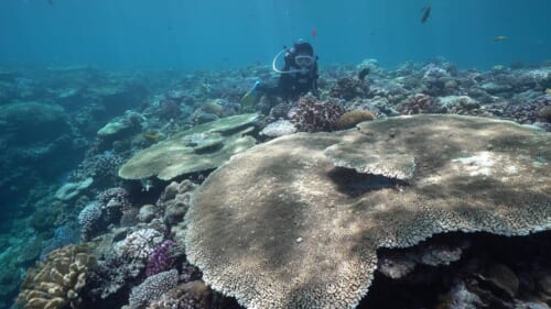 Cómo los viajeros responsables pueden contribuir a la sostenibilidad de las islas