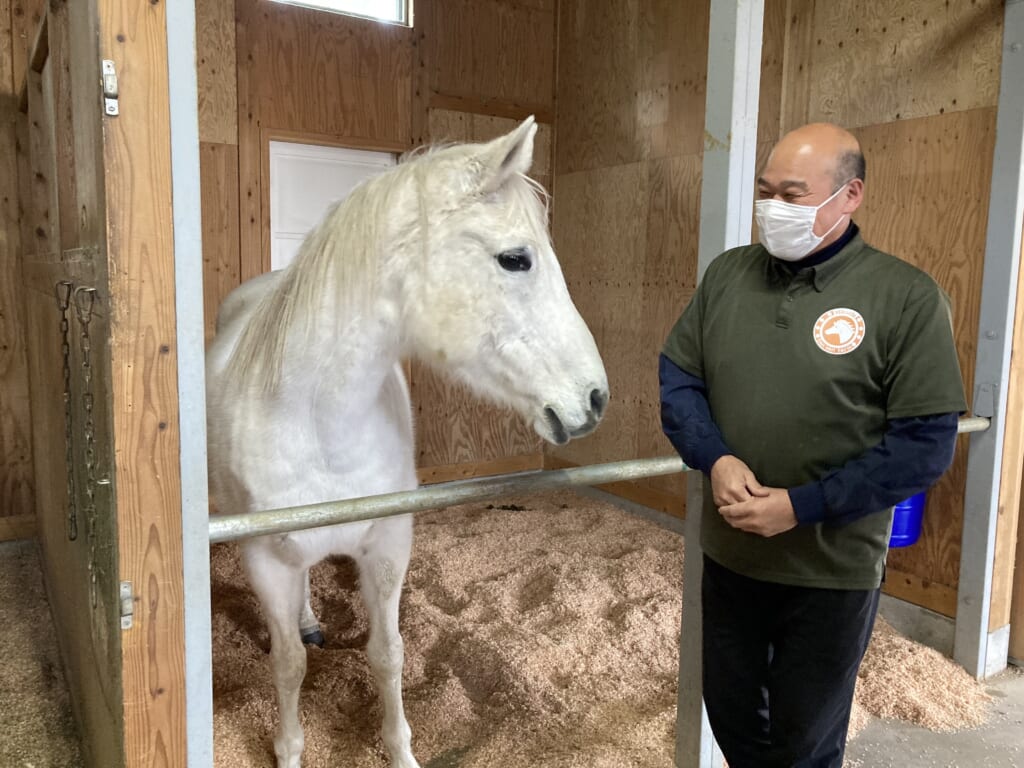 Un caballo de la granja San San en Iwami