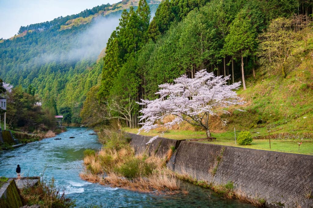 Las montañas japonesas son un regalo para las personas