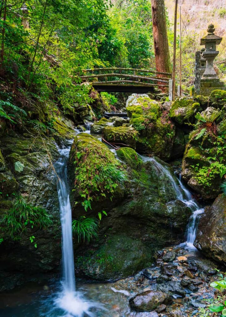 La naturaleza que rodea este templo en Hamamatsu es impresionante