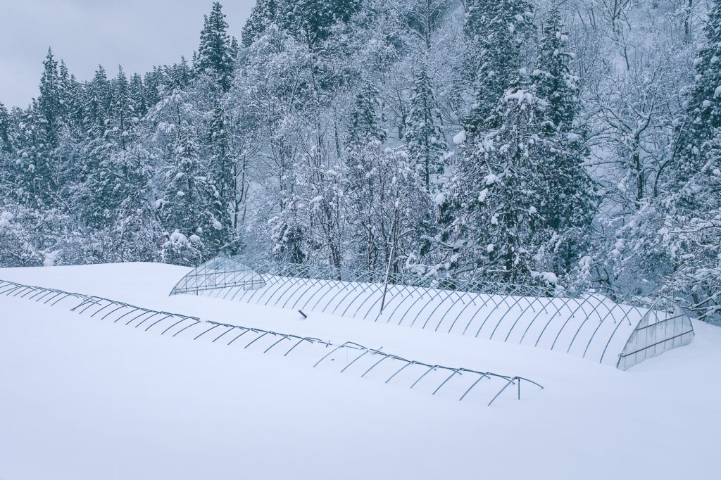Paisaje nevado de Takane.