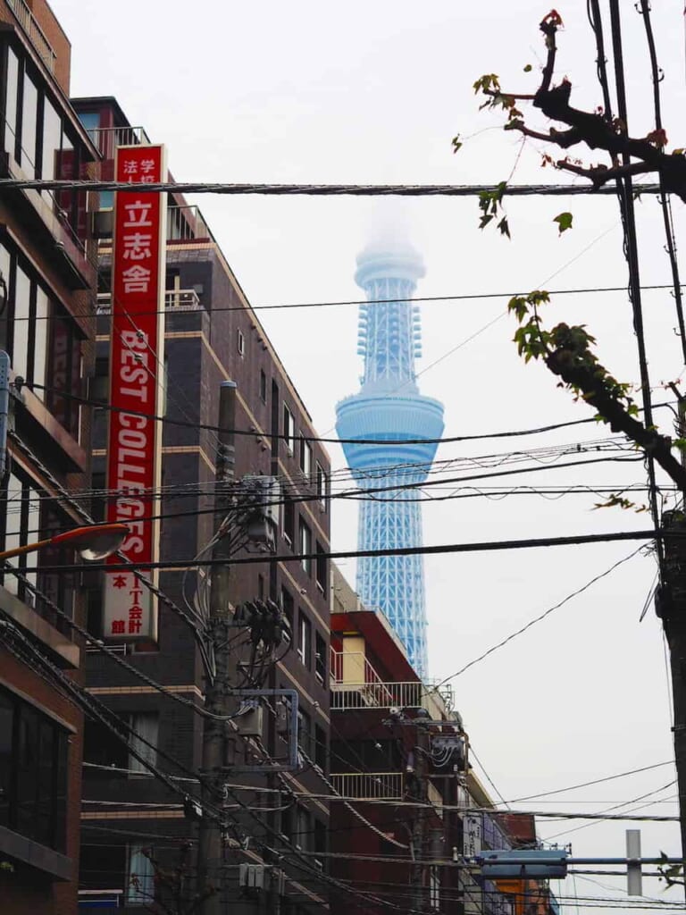 La torre Tokyo Skytree entre los edificios del barrio de Sumida