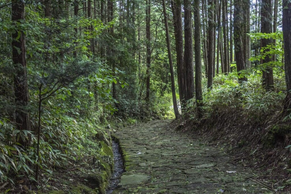 La ruta Nakasendo es un maravilloso recorrido por pueblos y naturaleza
